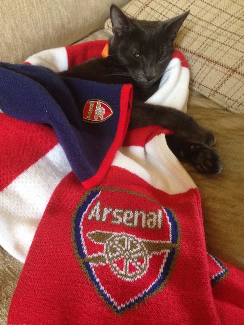 Arsenal Emirates Stadium